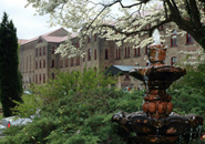 Photo of the fountain in the rock garden.