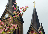 A photo of the Archabbey Church bell towers.